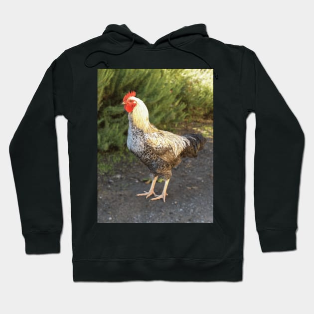 Rooster Hoodie by DPattonPD